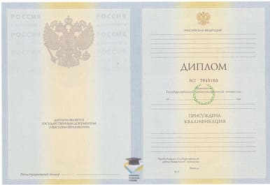 Диплом АУ МВД РФ 2010-2011 годов